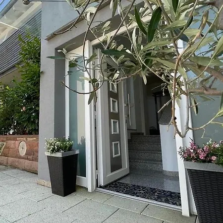 Wunderschoen In Baden Appartamento Offenburg