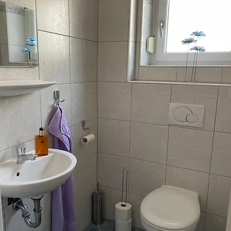 アパート Wunderschoen In Baden オフェンブルク